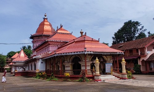 绿多维的价格与主治网绿多维胶囊到底好不好知识网站,分享绿多维多少钱一盒大全